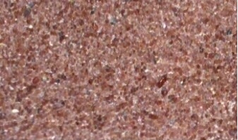 B Grade Super Garnet